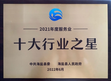 2021年度服务业十大行业之星