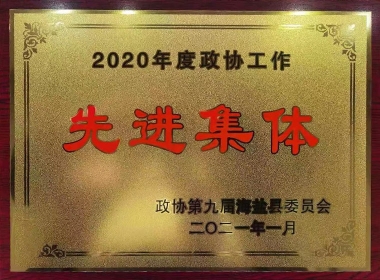 2020年度政协事情先进整体