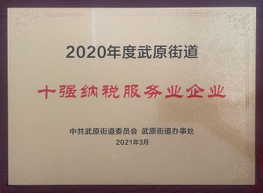 2020年度十强纳税服务业企业