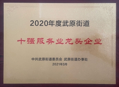 2020年度十强服务业龙头企业