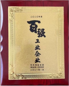 2020年度百强工业企业