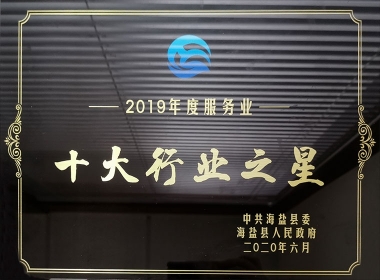2019年度十大行业之星