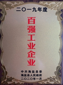 2019年度百强工业企业