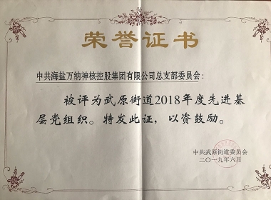 2018年度先进下层党组织