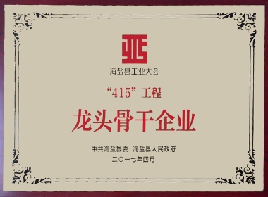 2017年海盐县415工程龙头主干企业