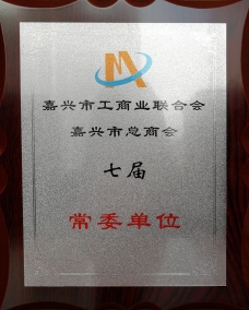 嘉兴市工商业团结会，，，，，，嘉兴总商会七届常委单位