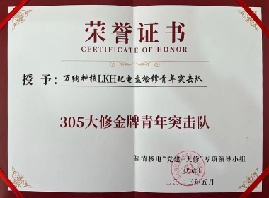 305大修金牌青年突击队