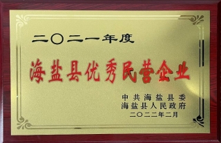 “神”祗忠勤丨热烈祝贺W88优德官网手机版下载神核控股集团荣获2021年度海盐县优异民营企业声誉
